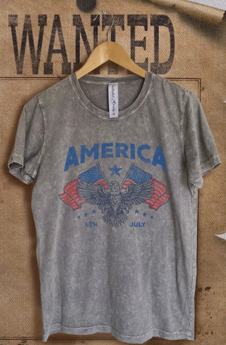 Mineral Wash America Graphic Tee